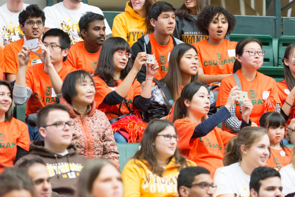 fans in the crowd of a game