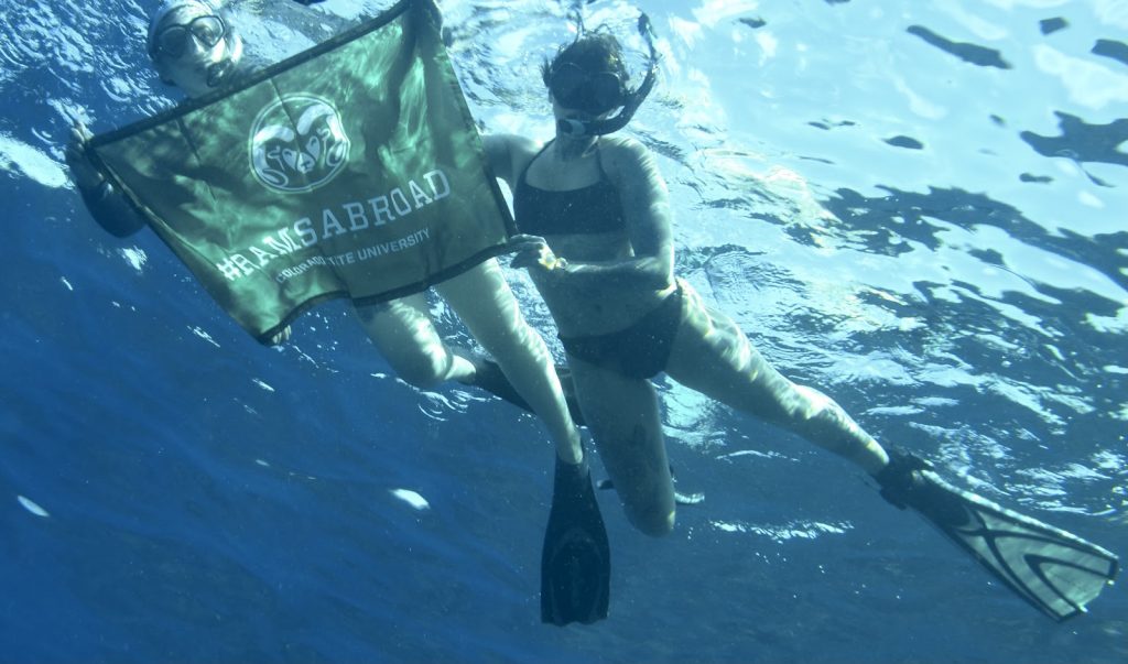A student in snorkel gear underwater, holding the '#RAMSAbroad" flag