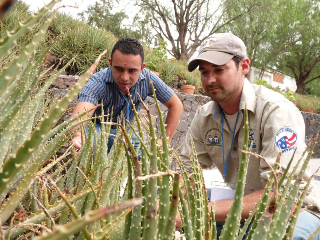 Colorado State University research in the field