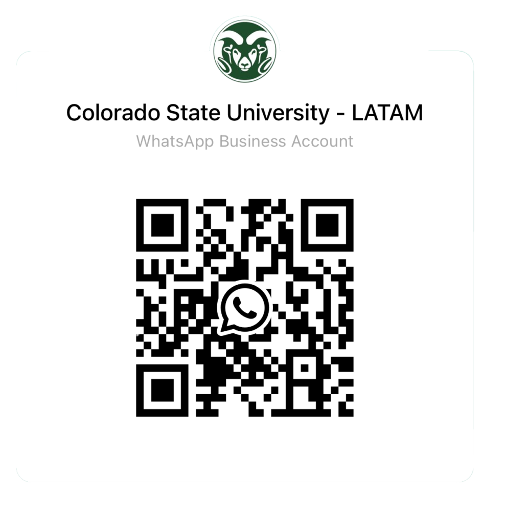 Connect with the Latin America recruitment team on WhatsApp