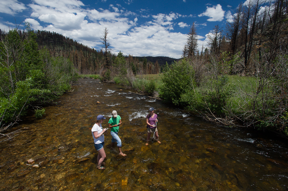 Three students stand in a shallow lake and take observational notes.