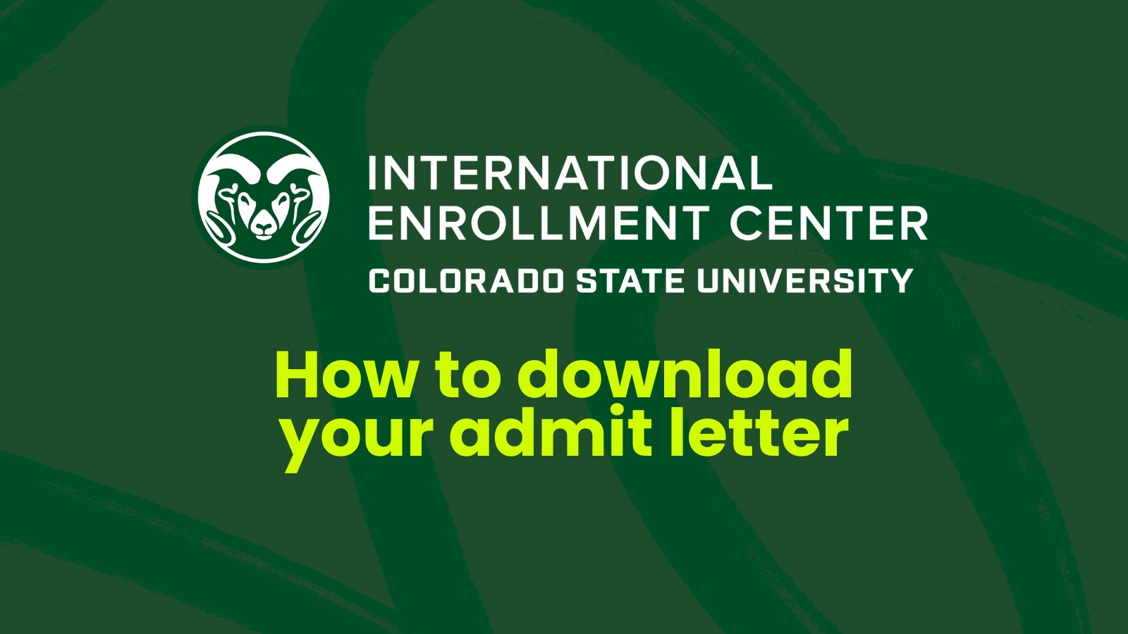 How To Download Your Admit Letter - International Programs