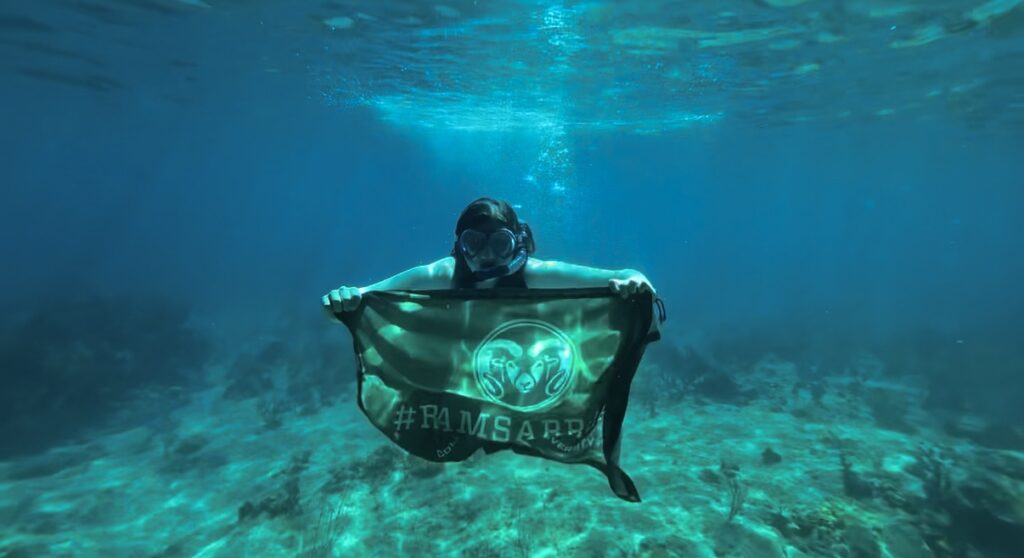 A CSU student holds the #RamsAbroad flag while snorkeling under water