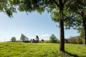 A woman sits in a field surrounded by a tree and a university landscape