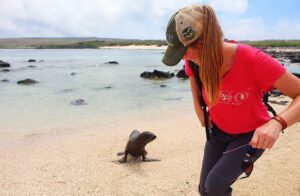 Seal on Espanola Island, Ecuador