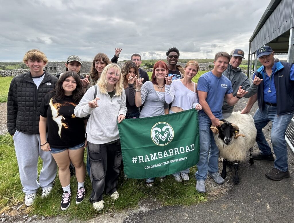 Students hold up a green rams abroad flag next to a sheep in Ireland