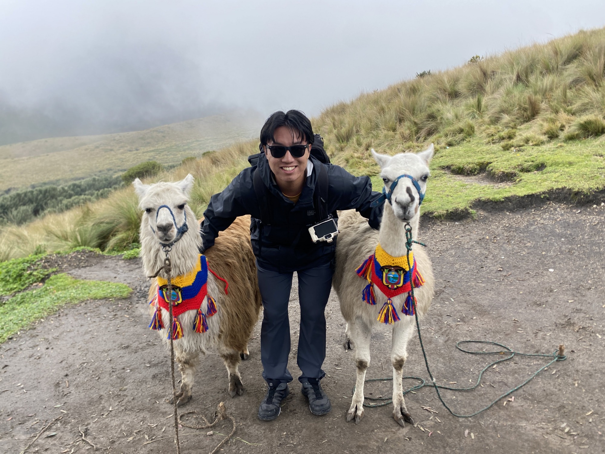 A student poses with two llamas in Ecuador