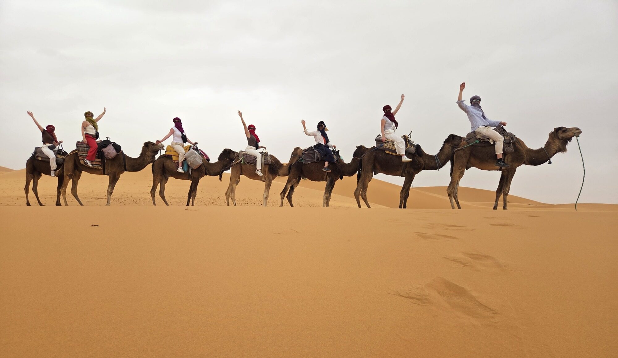A group of students on camels in a desert